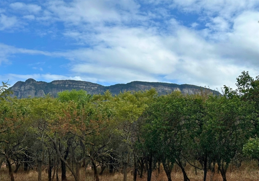 0 Bedroom Property for Sale in Kampersrus Limpopo