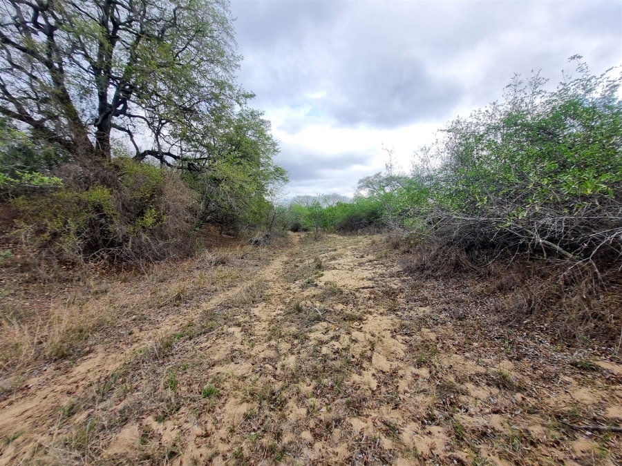 0 Bedroom Property for Sale in Moditlo Wildlife Estate Limpopo