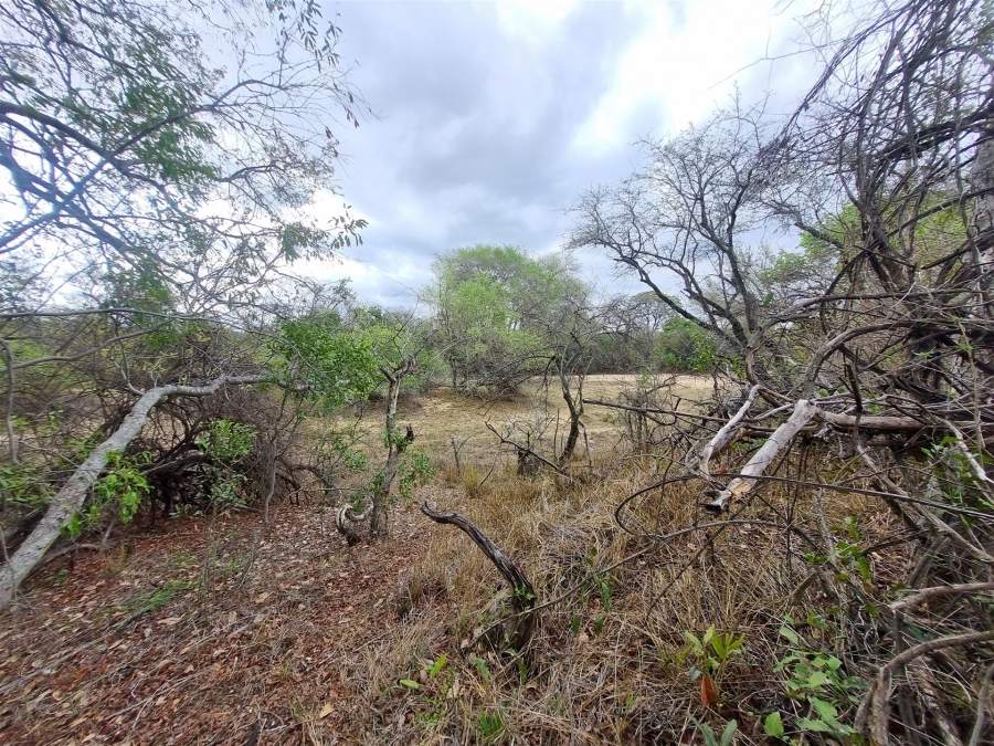 0 Bedroom Property for Sale in Moditlo Wildlife Estate Limpopo