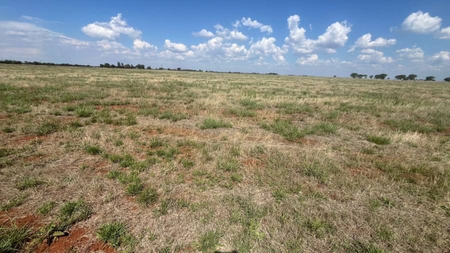 0 Bedroom Property for Sale in Bela Bela Limpopo