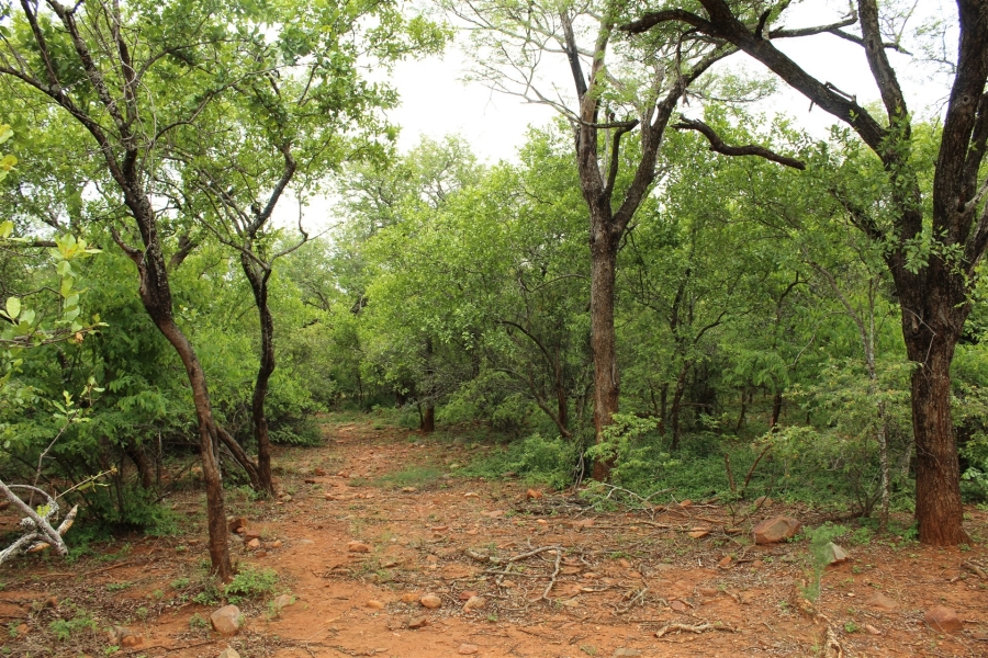 0 Bedroom Property for Sale in Canyon Game Reserve Limpopo