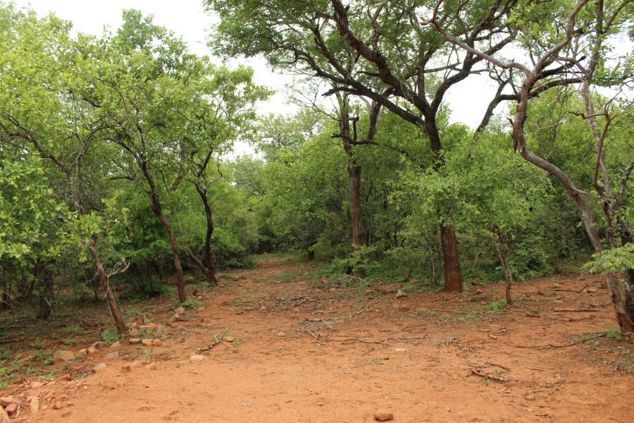 0 Bedroom Property for Sale in Canyon Game Reserve Limpopo