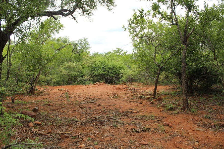 0 Bedroom Property for Sale in Canyon Game Reserve Limpopo