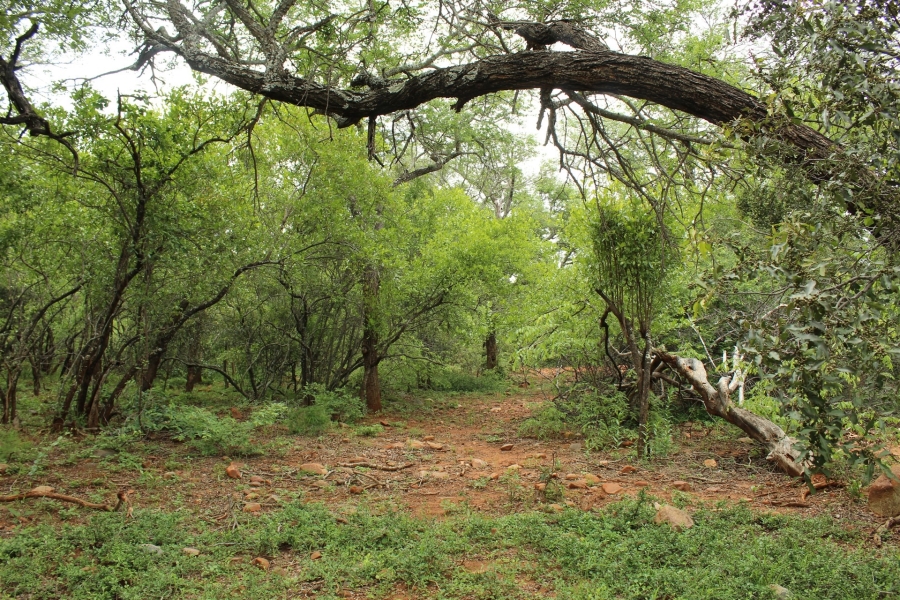 0 Bedroom Property for Sale in Canyon Game Reserve Limpopo