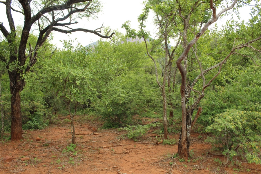 0 Bedroom Property for Sale in Canyon Game Reserve Limpopo