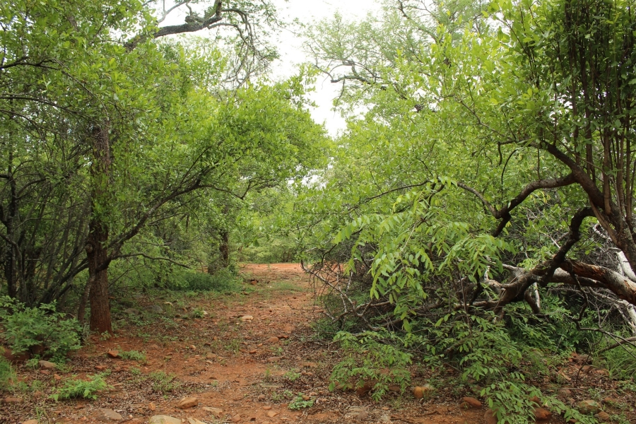 0 Bedroom Property for Sale in Canyon Game Reserve Limpopo