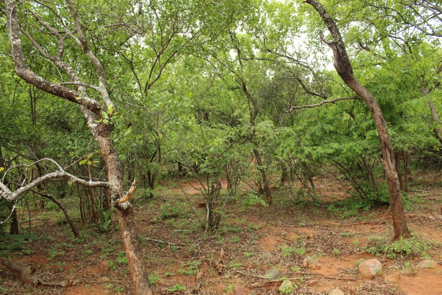 0 Bedroom Property for Sale in Canyon Game Reserve Limpopo