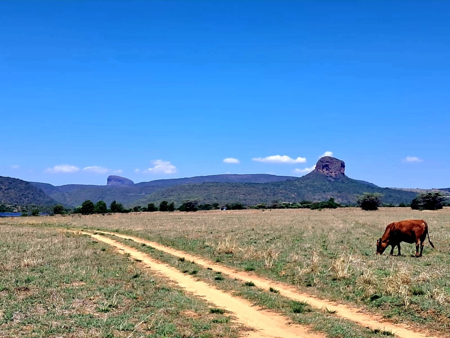 3 Bedroom Property for Sale in Mookgopong Limpopo