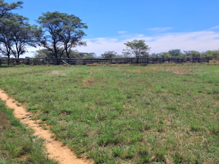 3 Bedroom Property for Sale in Mookgopong Limpopo