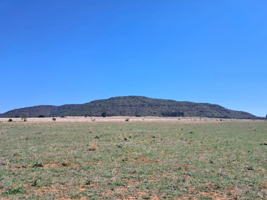 3 Bedroom Property for Sale in Mookgopong Limpopo