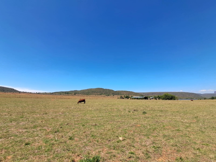 3 Bedroom Property for Sale in Mookgopong Limpopo