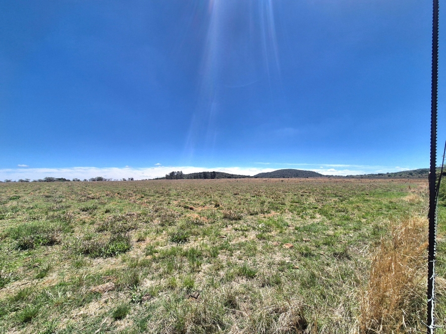 3 Bedroom Property for Sale in Mookgopong Limpopo