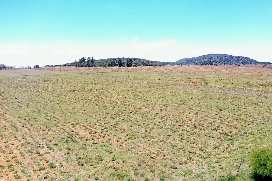 3 Bedroom Property for Sale in Mookgopong Limpopo