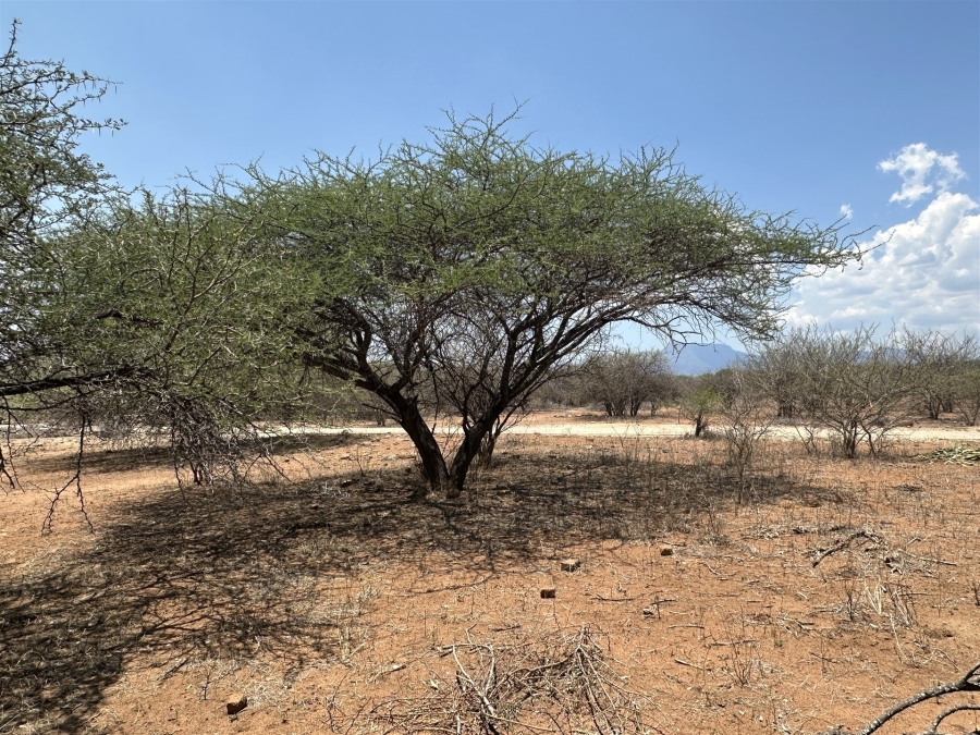 0 Bedroom Property for Sale in Blyde Wildlife Estate Limpopo