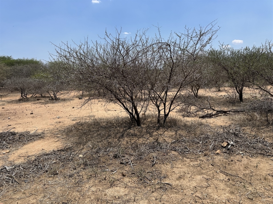 0 Bedroom Property for Sale in Blyde Wildlife Estate Limpopo