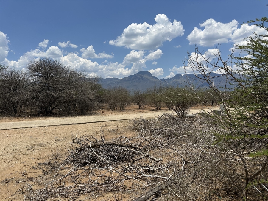 0 Bedroom Property for Sale in Blyde Wildlife Estate Limpopo