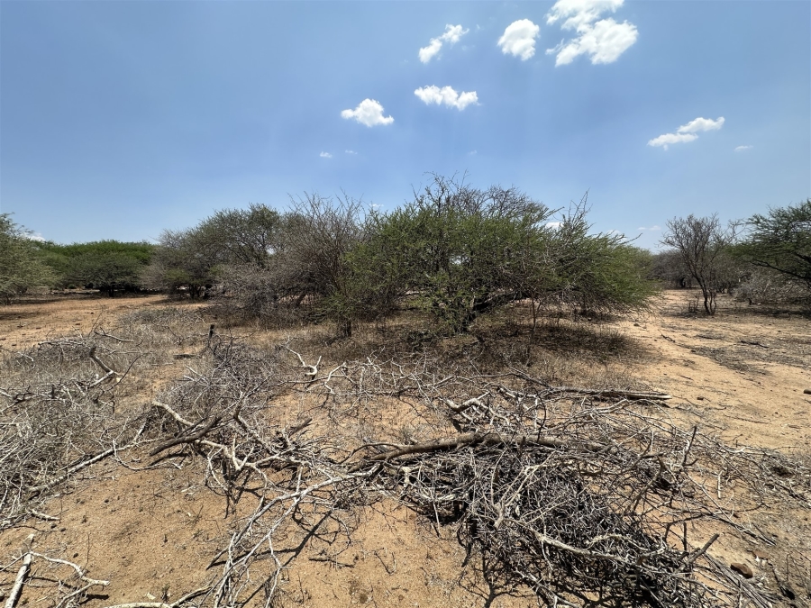 0 Bedroom Property for Sale in Blyde Wildlife Estate Limpopo