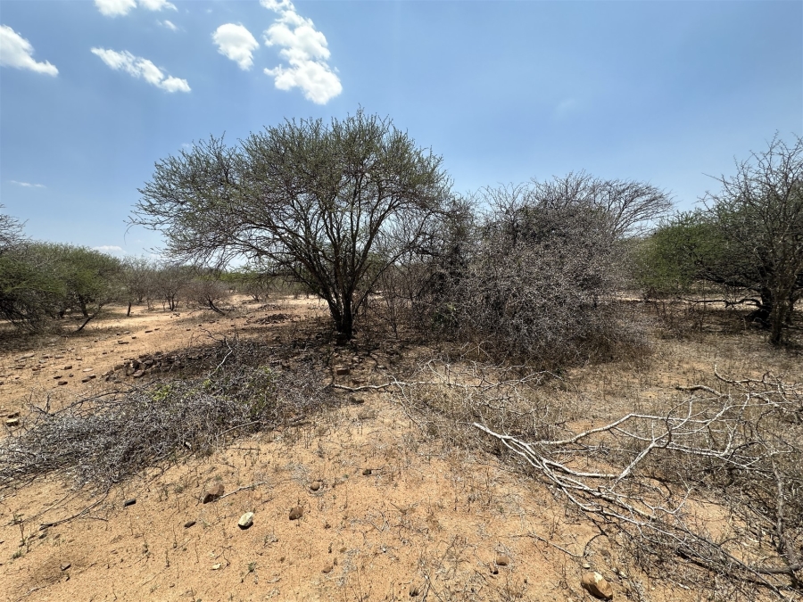 0 Bedroom Property for Sale in Blyde Wildlife Estate Limpopo