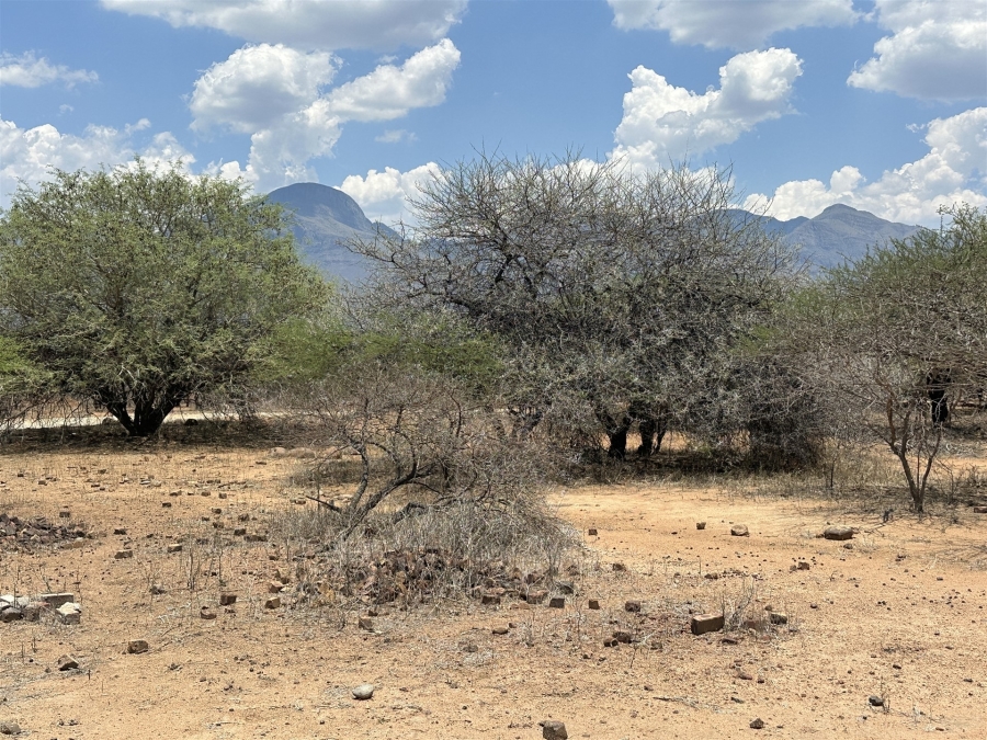 0 Bedroom Property for Sale in Blyde Wildlife Estate Limpopo