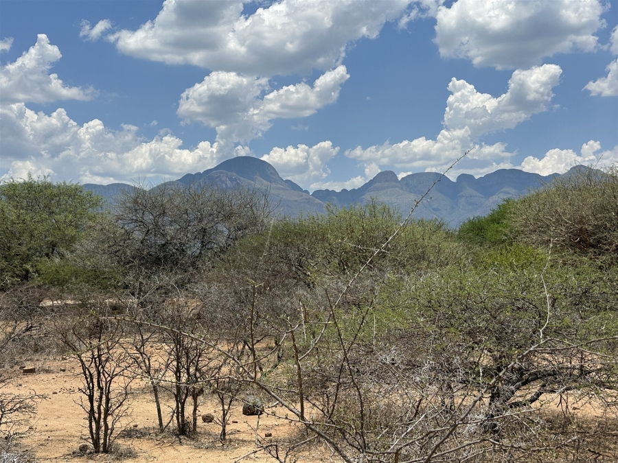 0 Bedroom Property for Sale in Blyde Wildlife Estate Limpopo