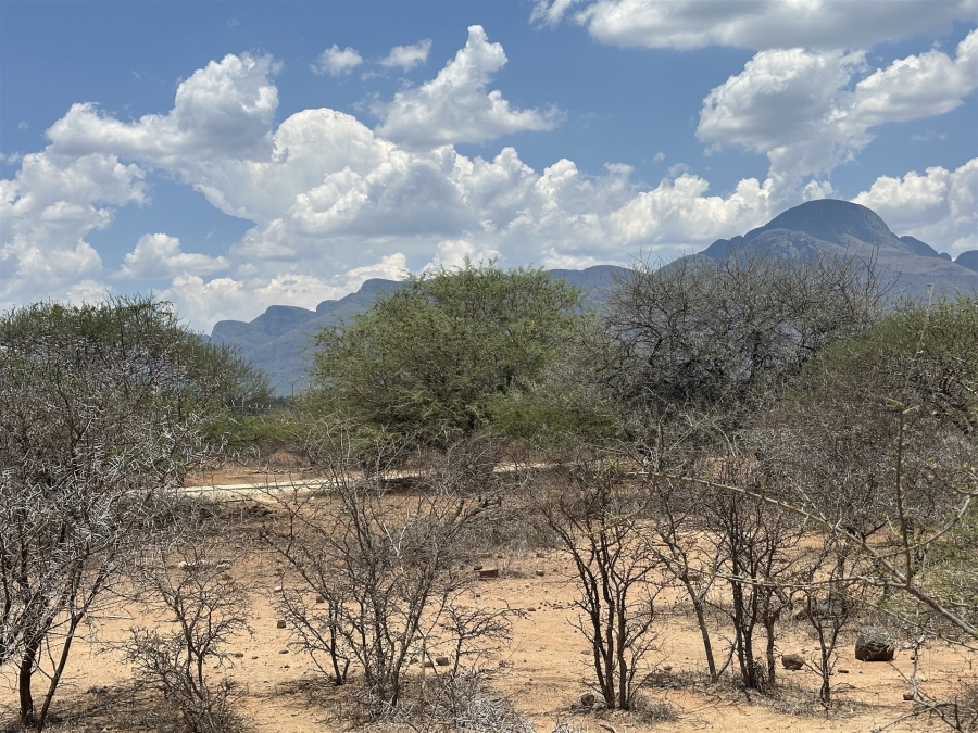 0 Bedroom Property for Sale in Blyde Wildlife Estate Limpopo