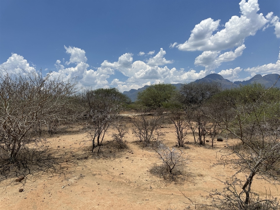 0 Bedroom Property for Sale in Blyde Wildlife Estate Limpopo