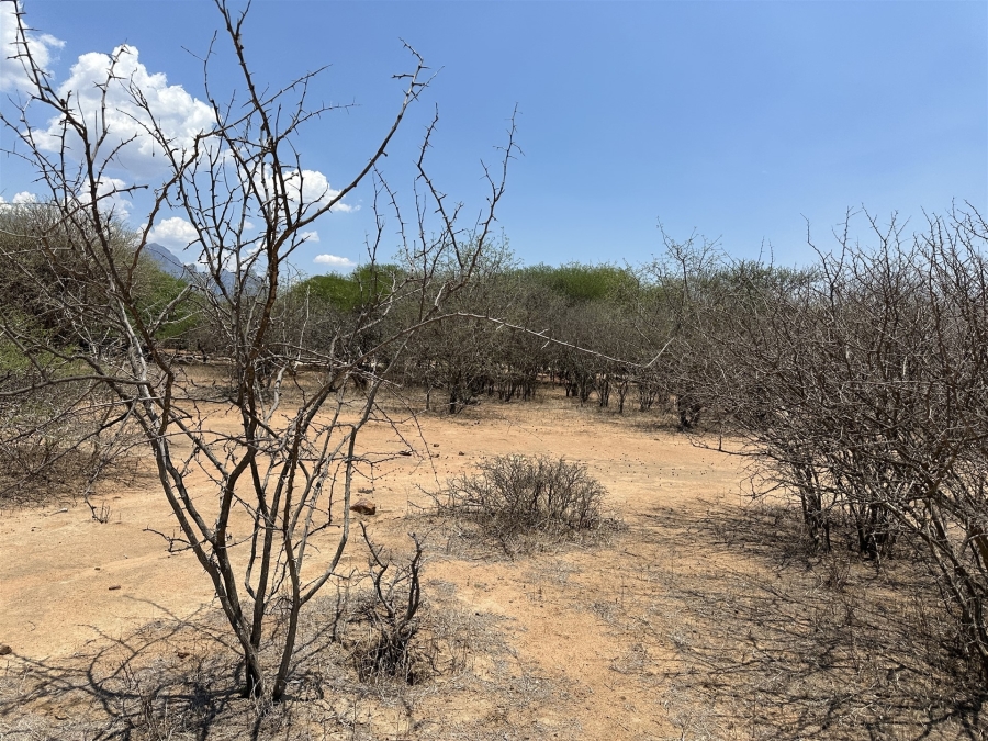 0 Bedroom Property for Sale in Blyde Wildlife Estate Limpopo