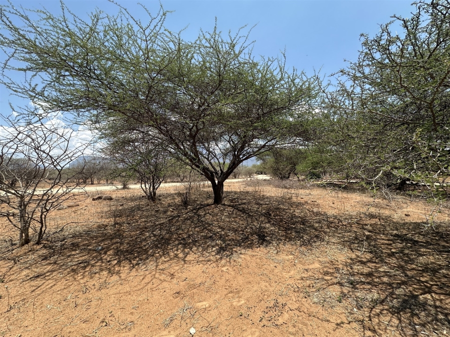 0 Bedroom Property for Sale in Blyde Wildlife Estate Limpopo