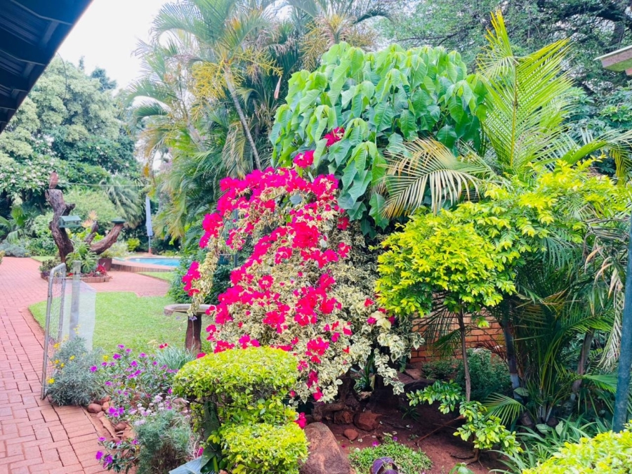 7 Bedroom Property for Sale in Kameeldoringpark Limpopo