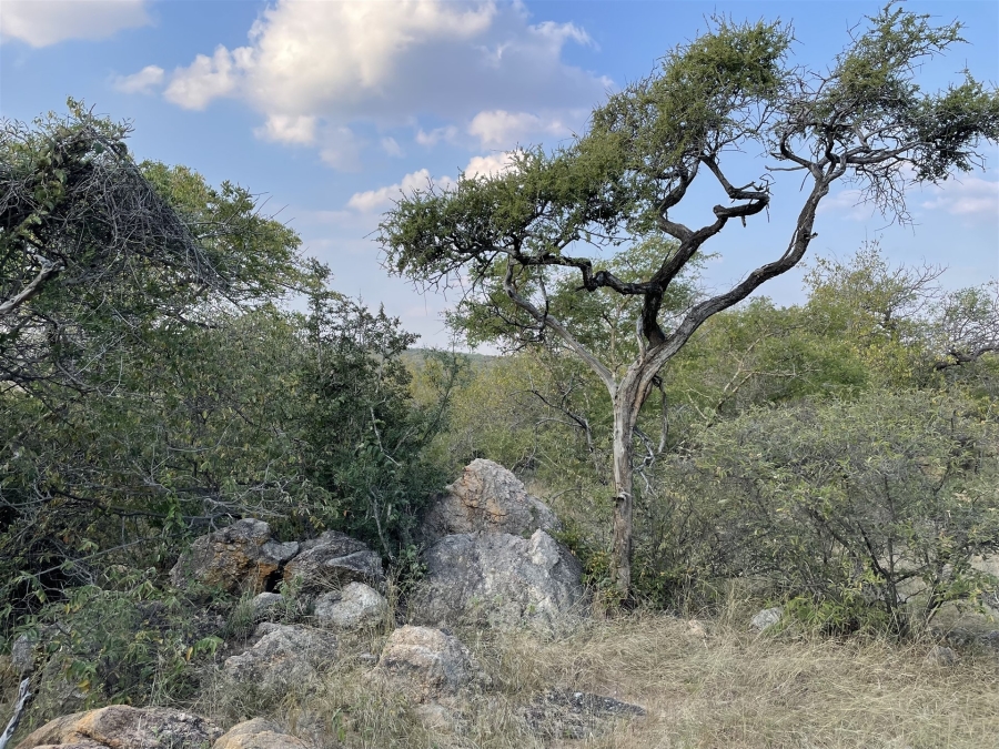 0 Bedroom Property for Sale in Lissataba Private Nature Reserve Limpopo