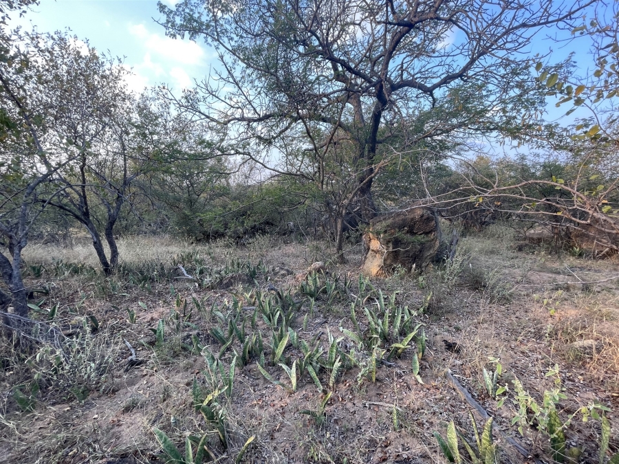 0 Bedroom Property for Sale in Lissataba Private Nature Reserve Limpopo
