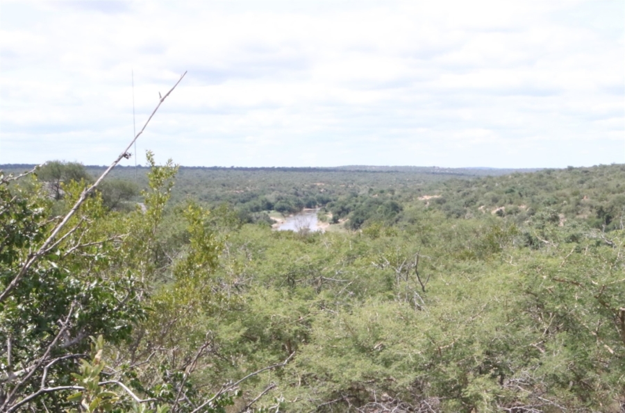 0 Bedroom Property for Sale in Lissataba Private Nature Reserve Limpopo