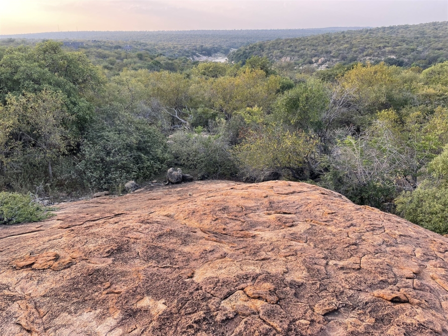 0 Bedroom Property for Sale in Lissataba Private Nature Reserve Limpopo