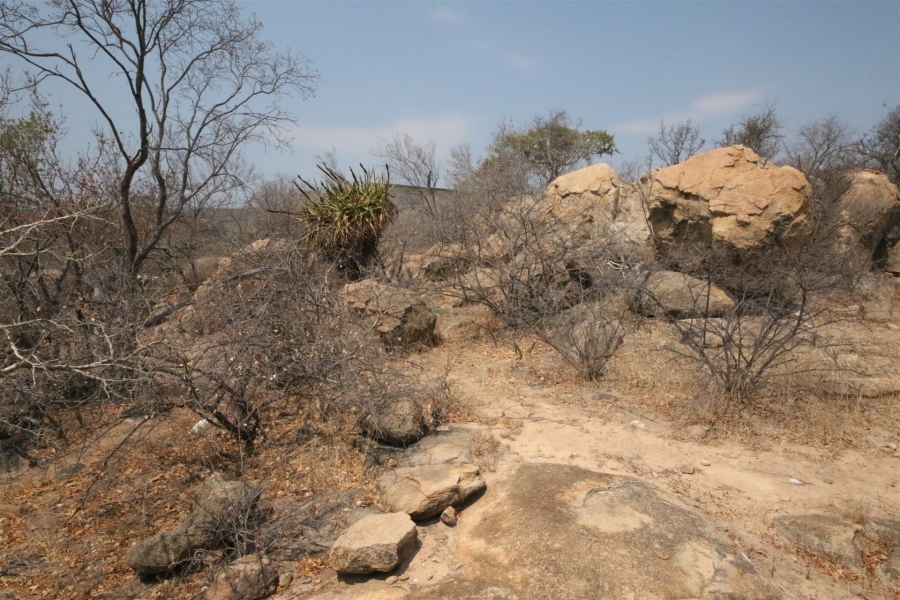 0 Bedroom Property for Sale in Lissataba Private Nature Reserve Limpopo