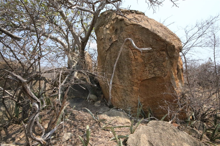 0 Bedroom Property for Sale in Lissataba Private Nature Reserve Limpopo