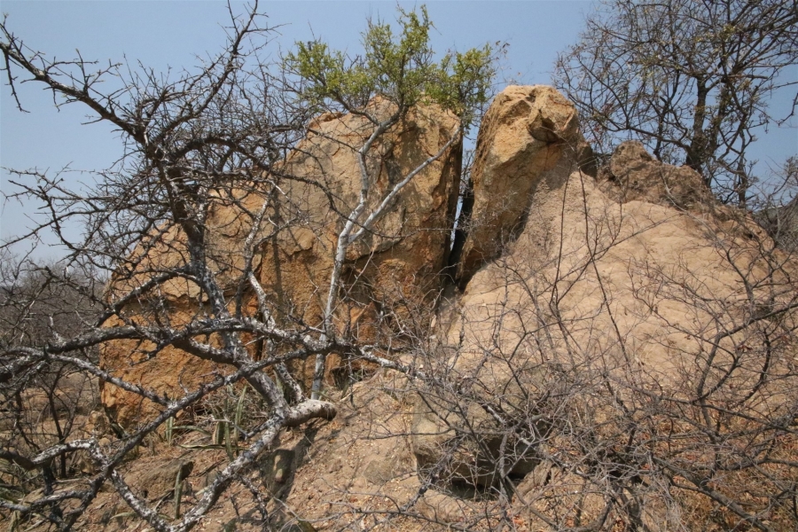 0 Bedroom Property for Sale in Lissataba Private Nature Reserve Limpopo