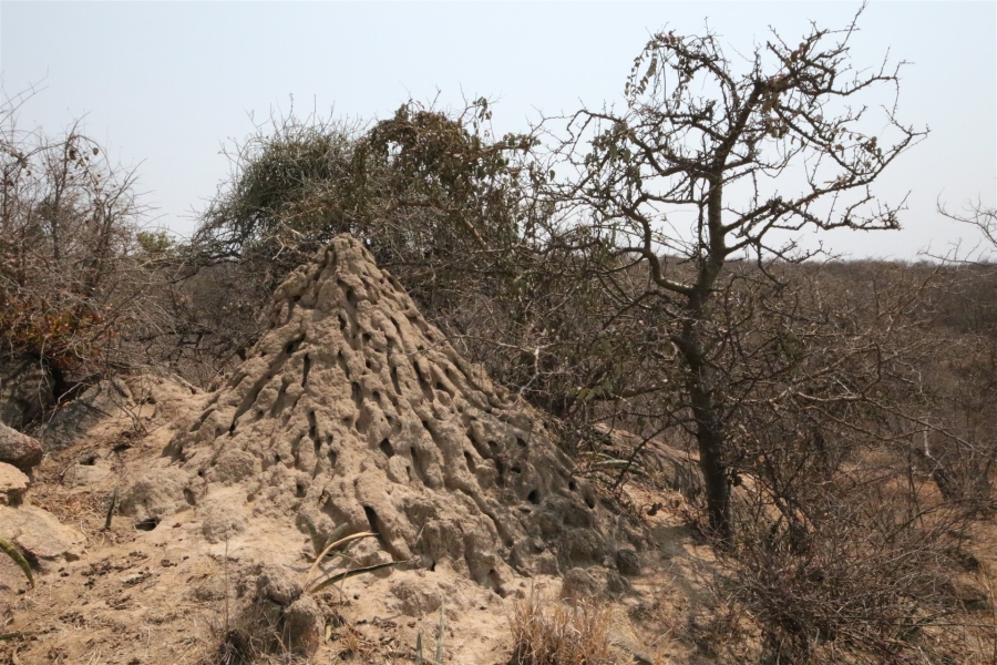 0 Bedroom Property for Sale in Lissataba Private Nature Reserve Limpopo