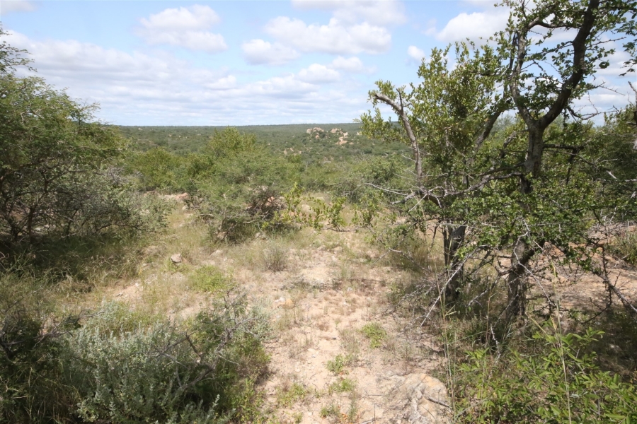 0 Bedroom Property for Sale in Lissataba Private Nature Reserve Limpopo