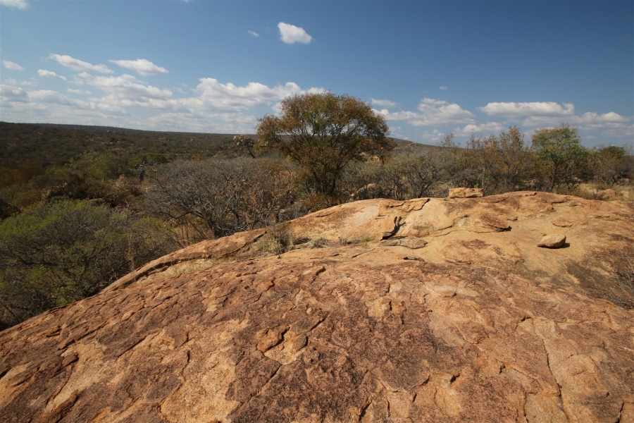 0 Bedroom Property for Sale in Lissataba Private Nature Reserve Limpopo