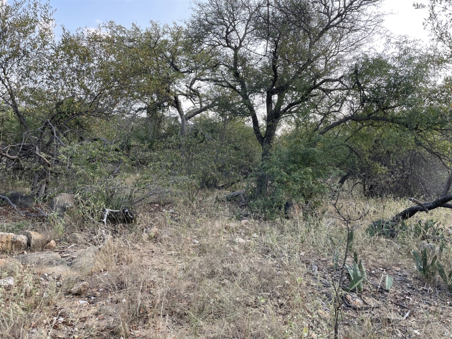 0 Bedroom Property for Sale in Lissataba Private Nature Reserve Limpopo