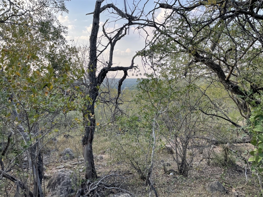 0 Bedroom Property for Sale in Lissataba Private Nature Reserve Limpopo