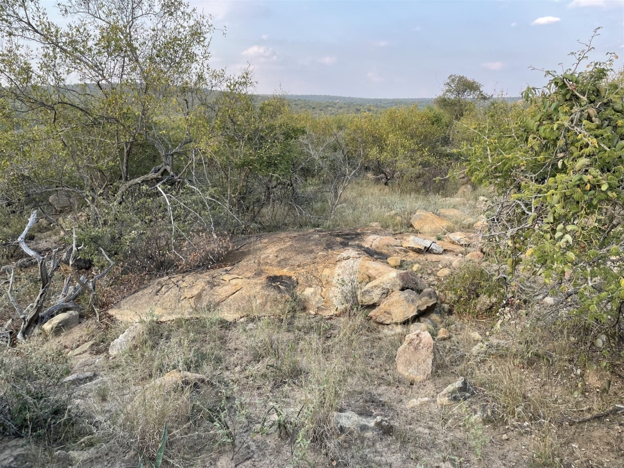 0 Bedroom Property for Sale in Lissataba Private Nature Reserve Limpopo