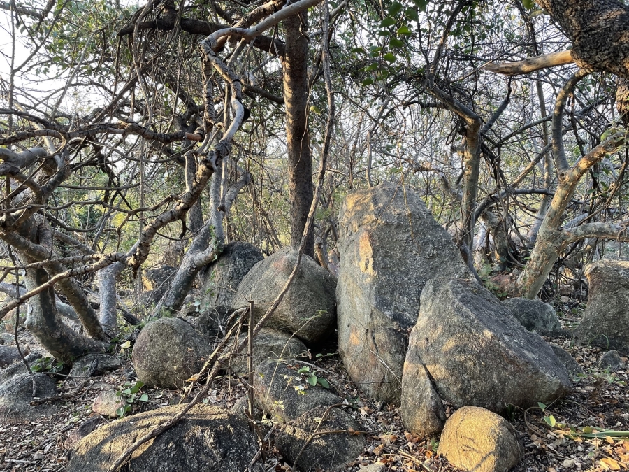 0 Bedroom Property for Sale in Lissataba Private Nature Reserve Limpopo