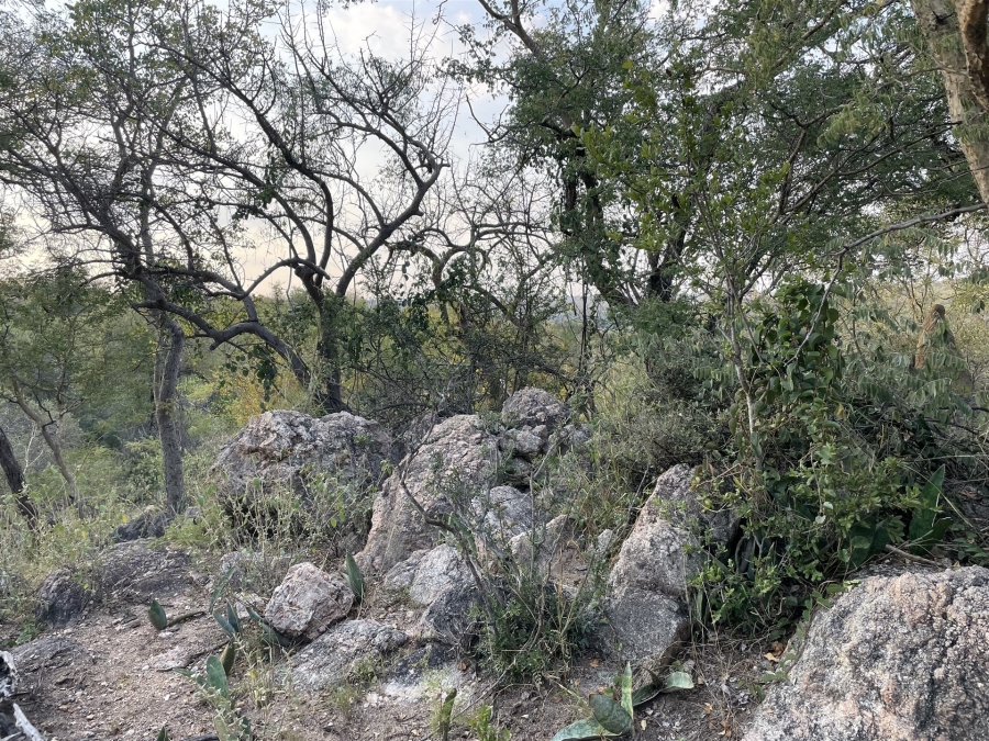 0 Bedroom Property for Sale in Lissataba Private Nature Reserve Limpopo