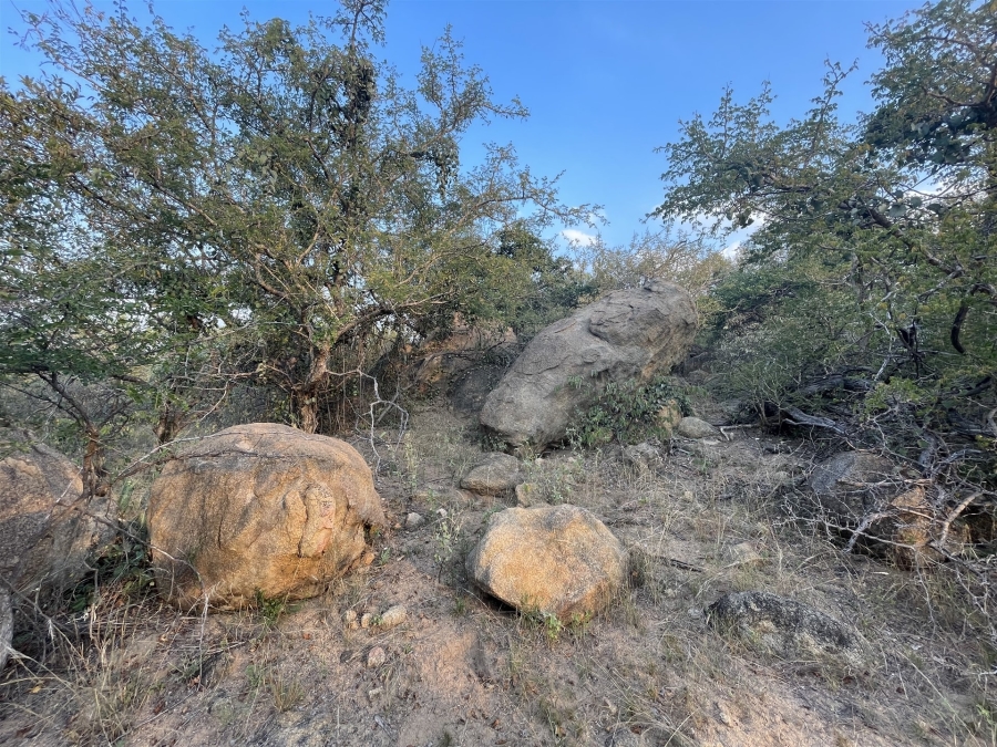 0 Bedroom Property for Sale in Lissataba Private Nature Reserve Limpopo