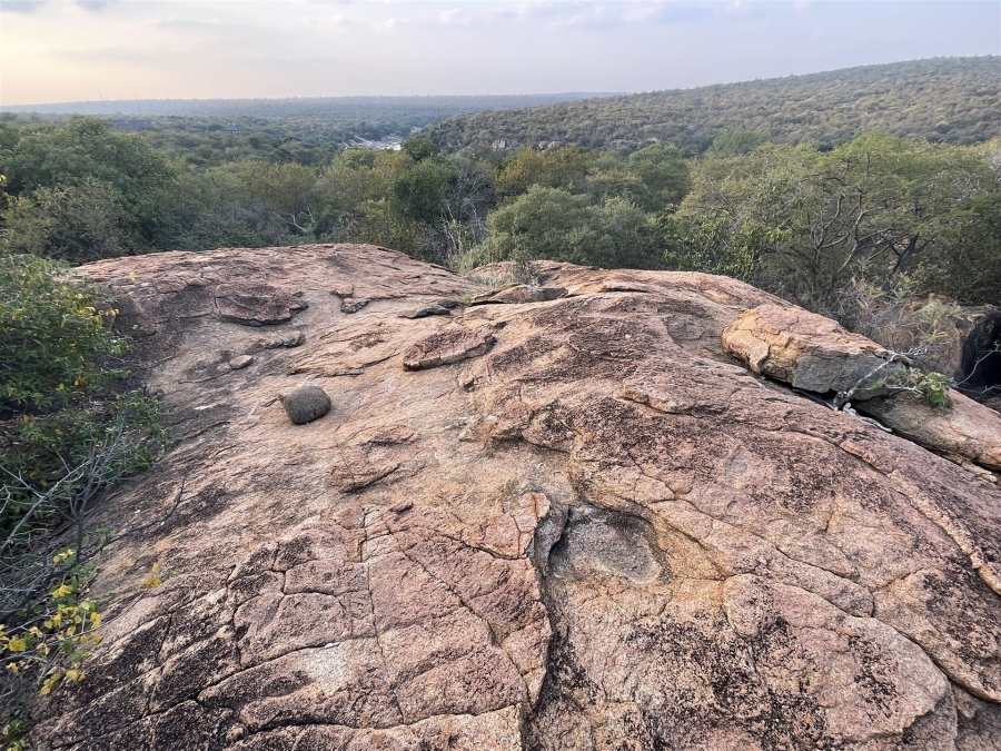 0 Bedroom Property for Sale in Lissataba Private Nature Reserve Limpopo