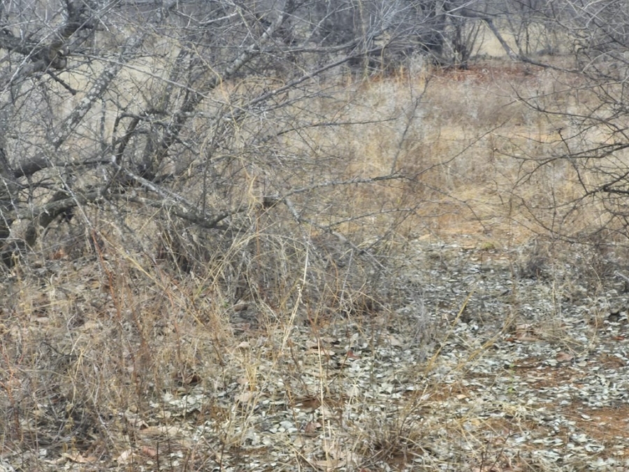 0 Bedroom Property for Sale in Phalaborwa Limpopo