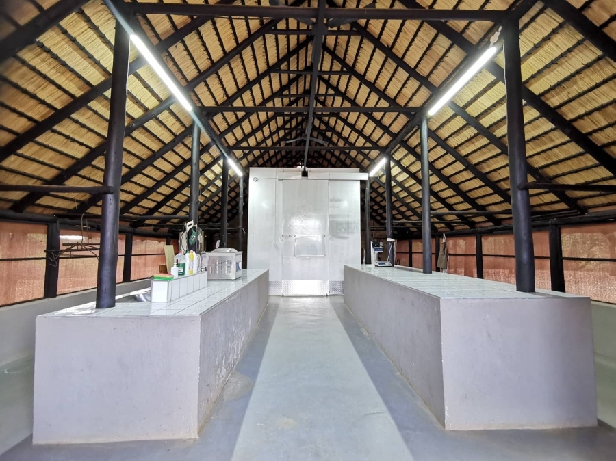 0 Bedroom Property for Sale in Musina Limpopo