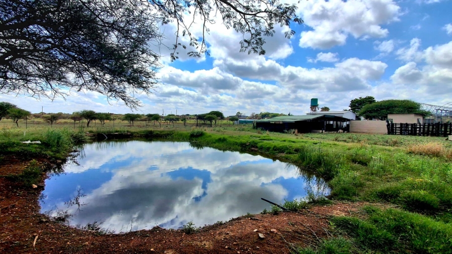 4 Bedroom Property for Sale in Palmietfontein Limpopo