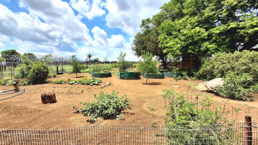 4 Bedroom Property for Sale in Palmietfontein Limpopo